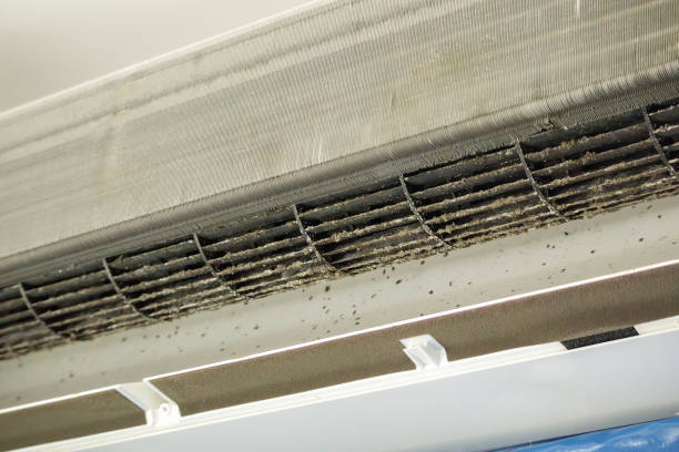 Best Ventilation Cleaning Services  in Park Forest, IL